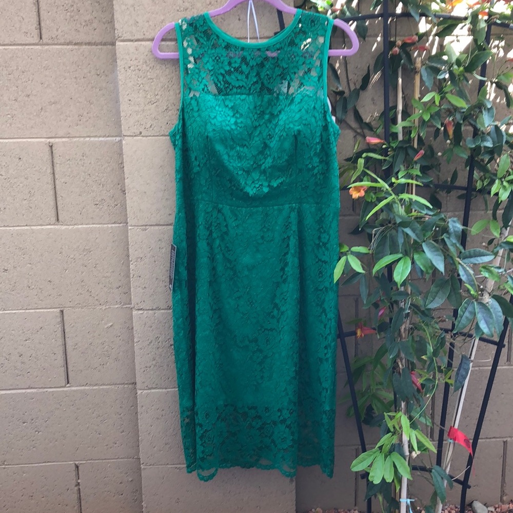 New The Limited 14P green lace dress